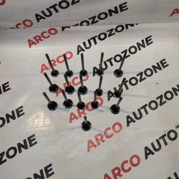 VALVE SET FIGO PETROL 1.2