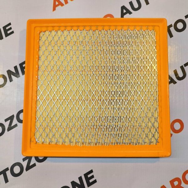 AIR FILTER NEXON PETROL LX5603