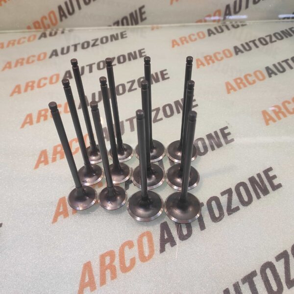 VALVE SET MICRA PETROL